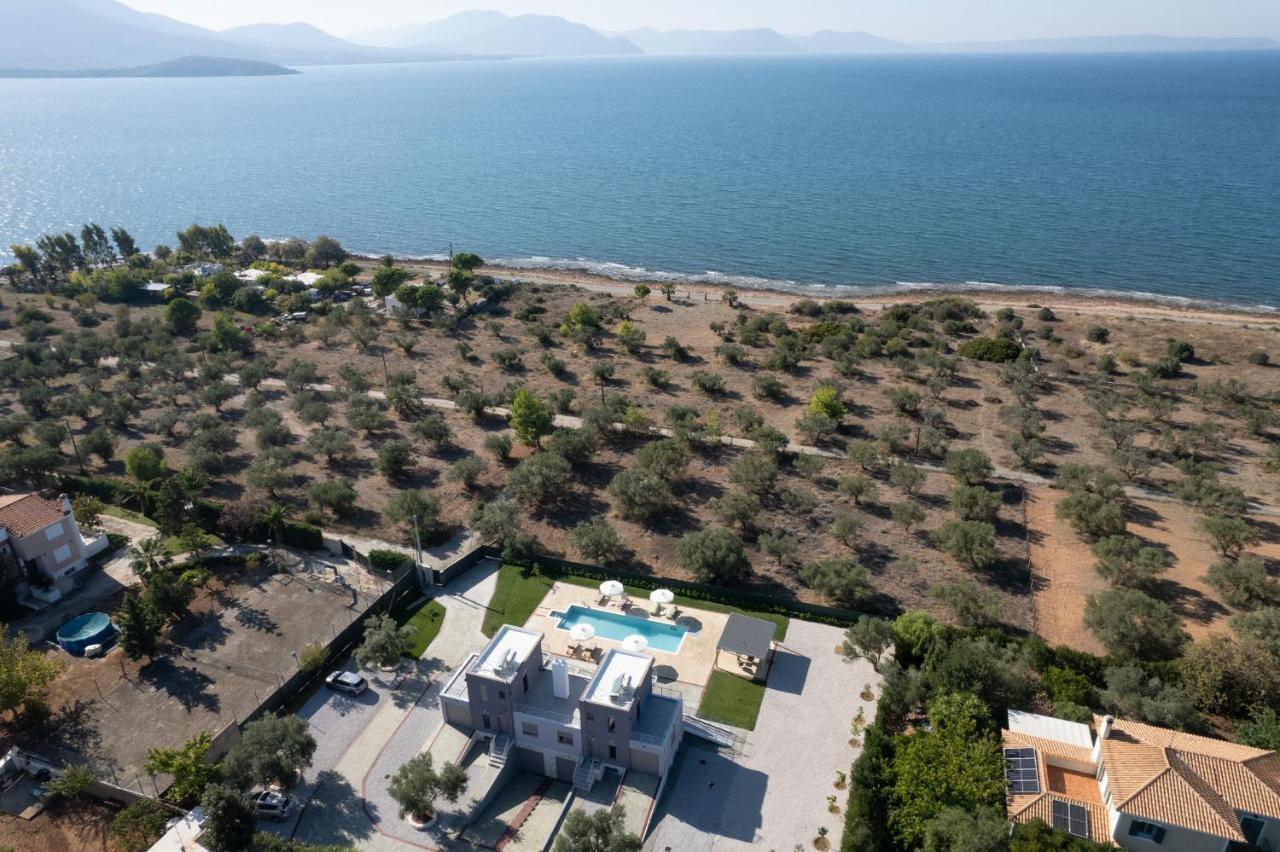 Marea Twins Villas Δροσιά Εξωτερικό φωτογραφία