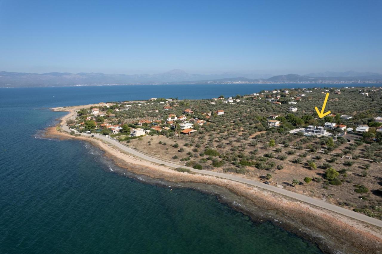 Marea Twins Villas Δροσιά Εξωτερικό φωτογραφία